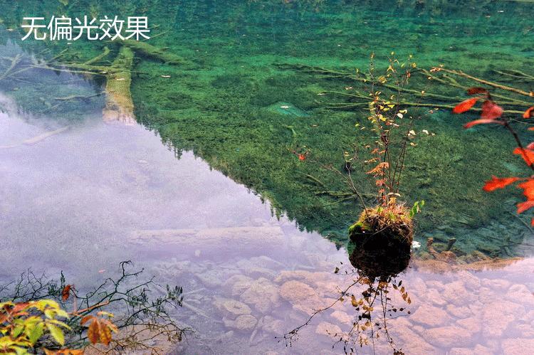 偏振特征,偏振的特征信息