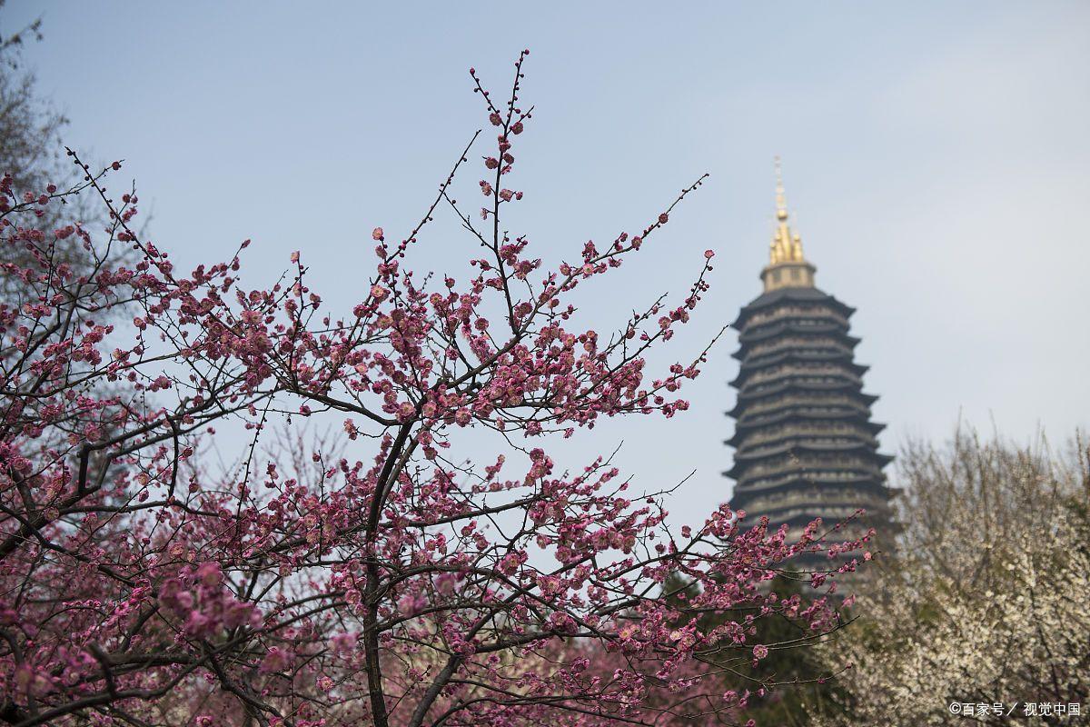 常州必去的13个免费景点夜景,常州必去的十大网红景点
