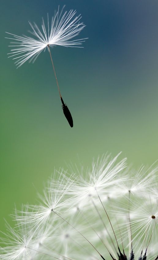 散文简单活着就是人生的精致,散文人心简单了就幸福