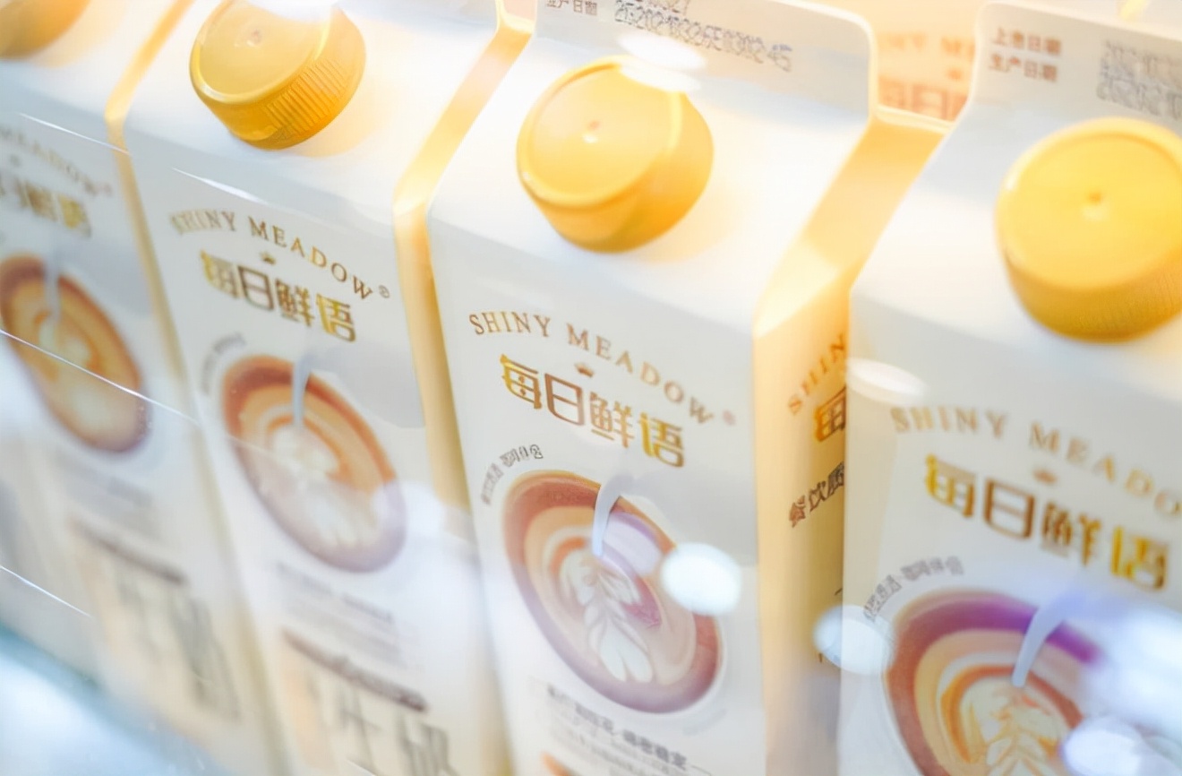 9200万独居人群，只养肥了“方便速食”？