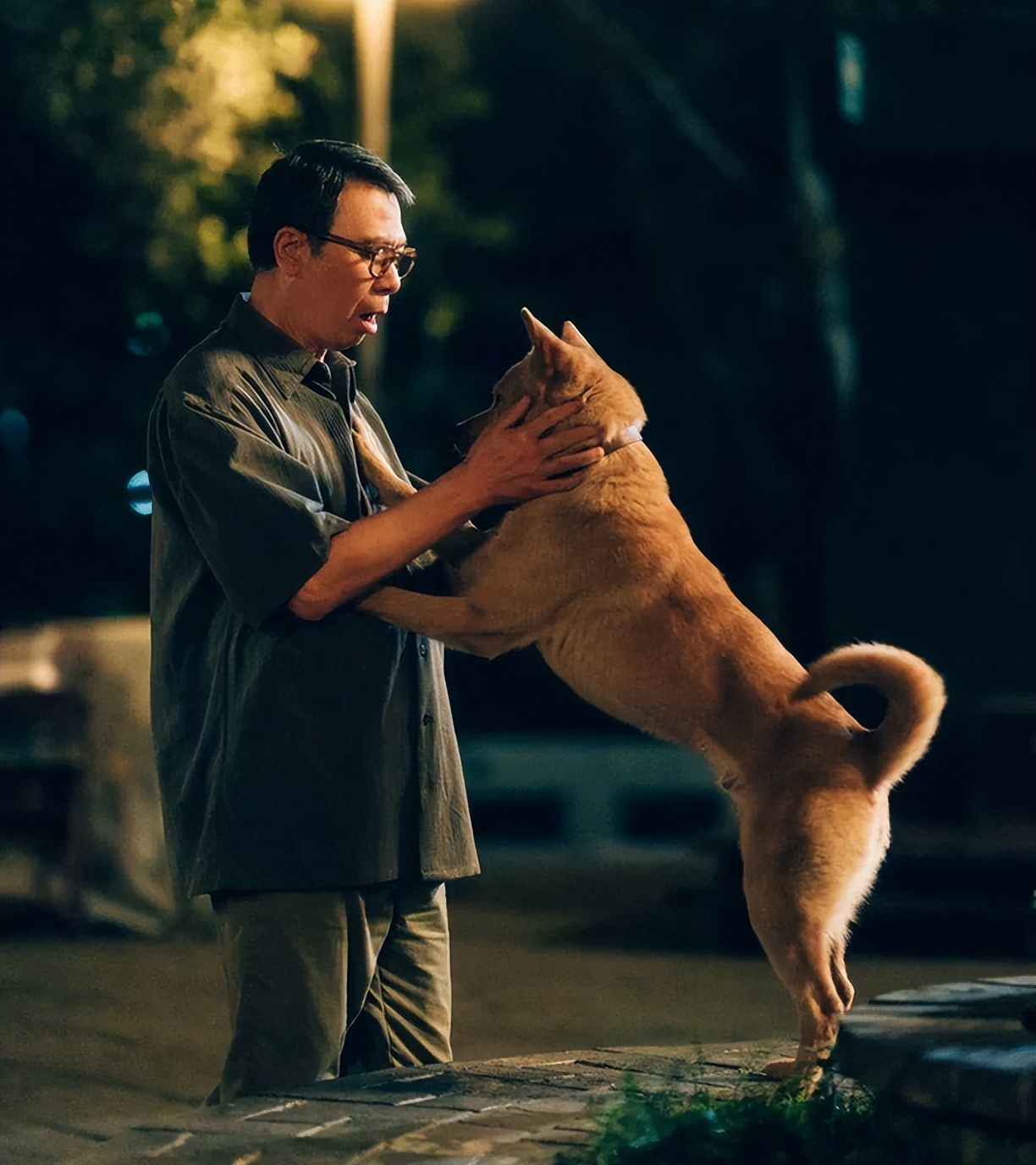 忠犬八公感人,忠犬八公最后30分钟感人片段