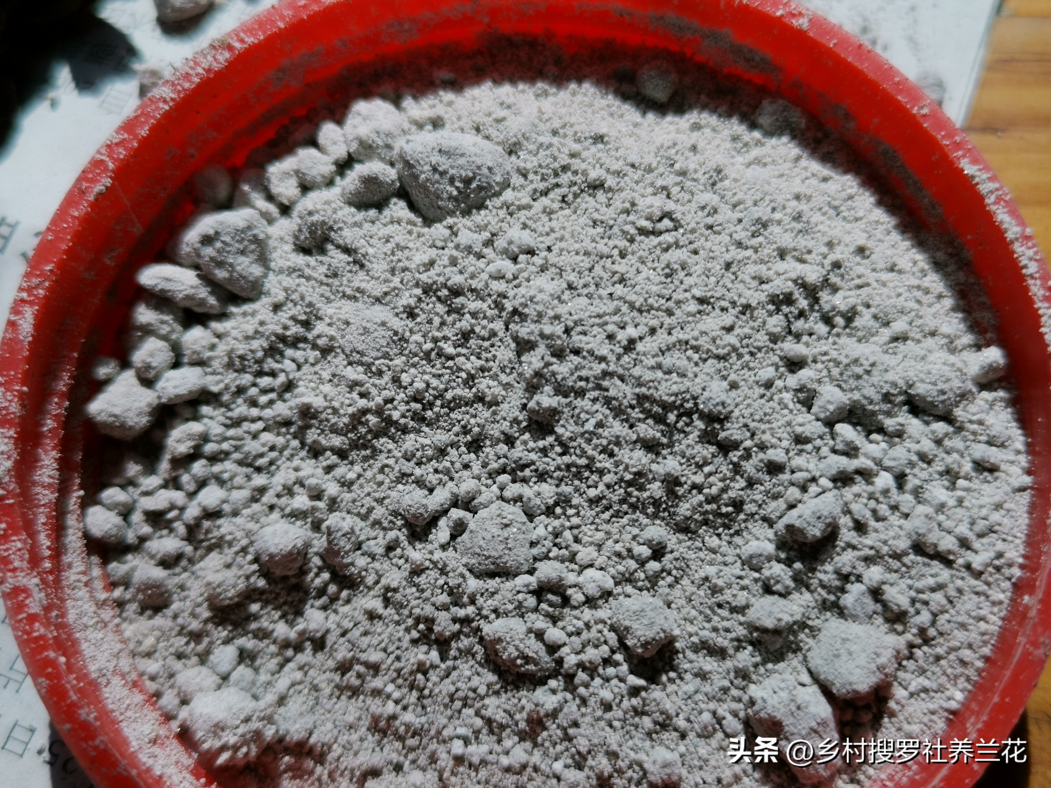 蕙兰开花浇什么水最好,养大花蕙兰什么时候控水