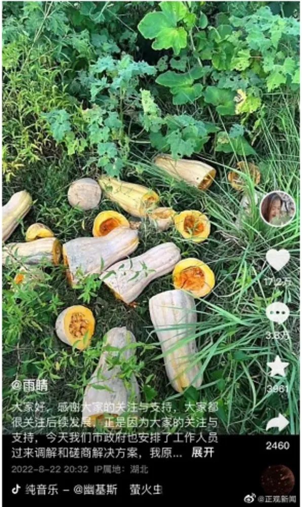 组团偷瓜给予什么处罚,组团偷瓜