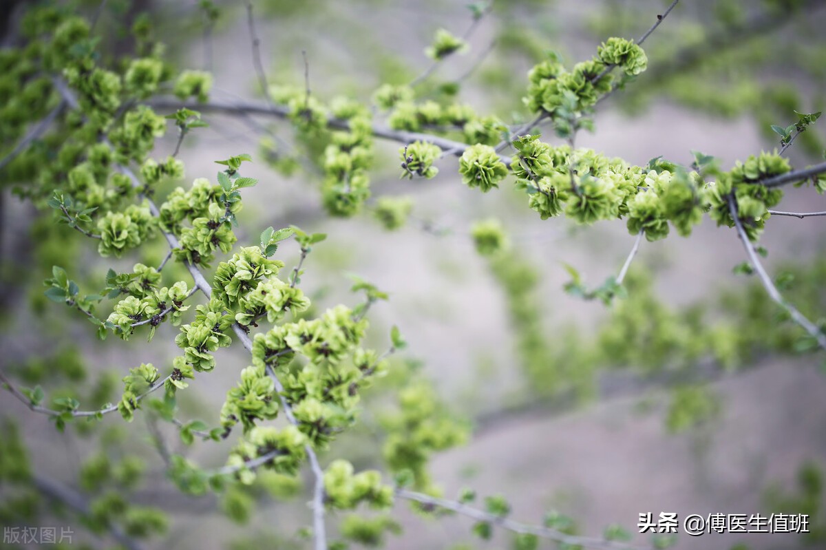 女子长期饭后腹胀,女子饭后常感腹胀误以为是胃病