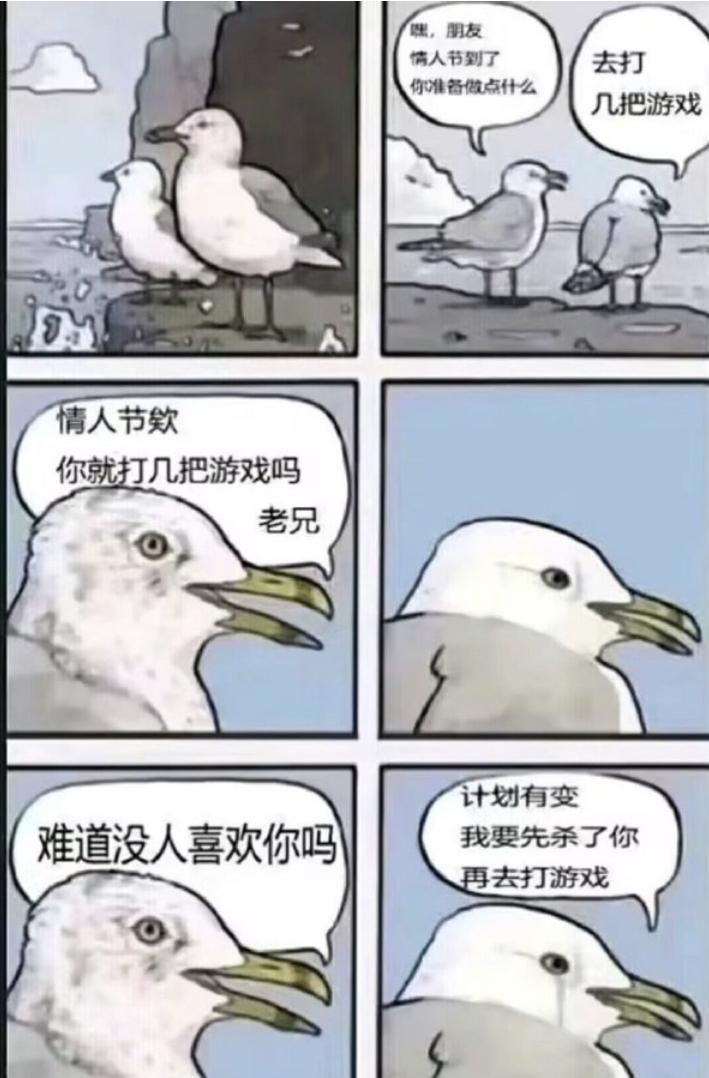 关于情人节的花式陷阱|冷段子2428去年今日2070