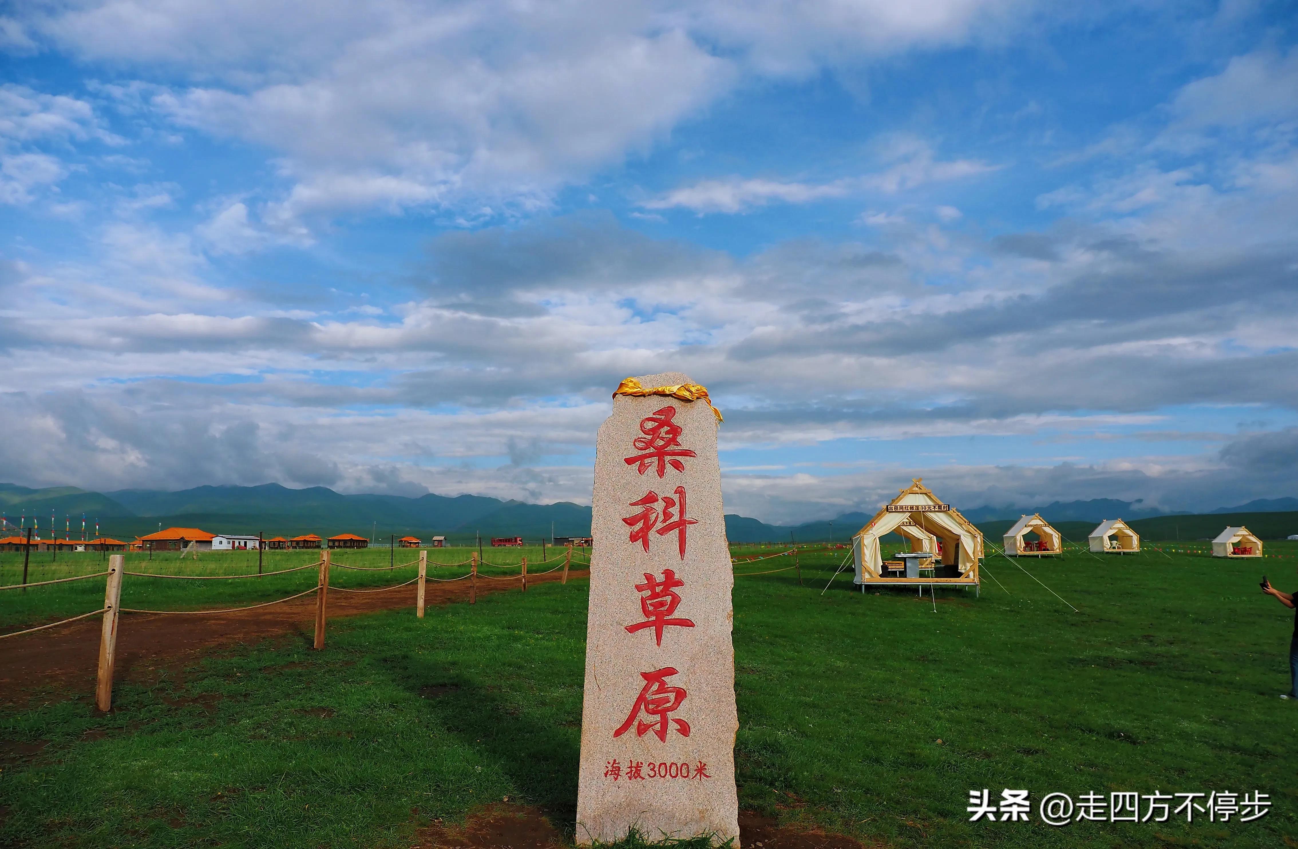 甘南自驾游桑科草原下一站,甘南桑科草原高清精美视频