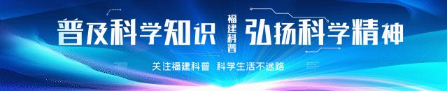 可达鸭是鸭嘴兽吗,可达鸭原型是什么动物