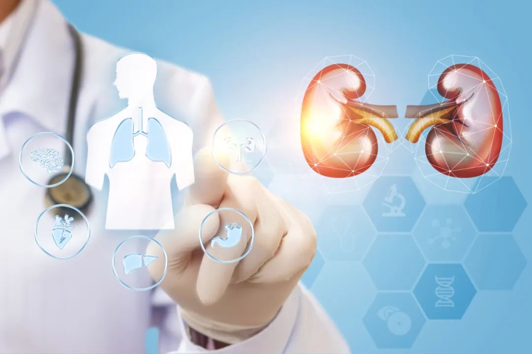 老中医教你如何强肾保健,五种强肾补肾简易方法