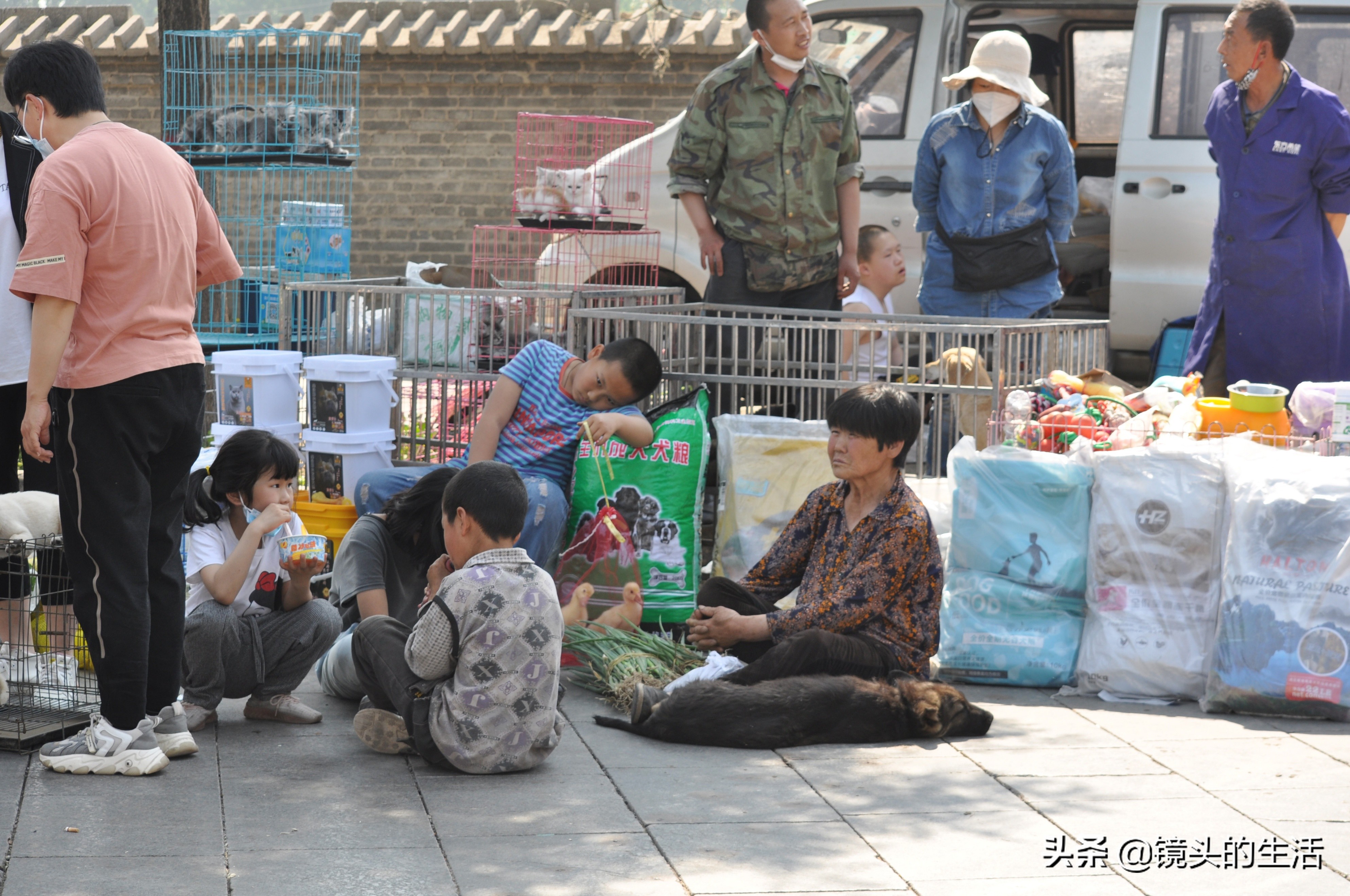 农村大娘卖自家狗,农村大娘三个儿子视频