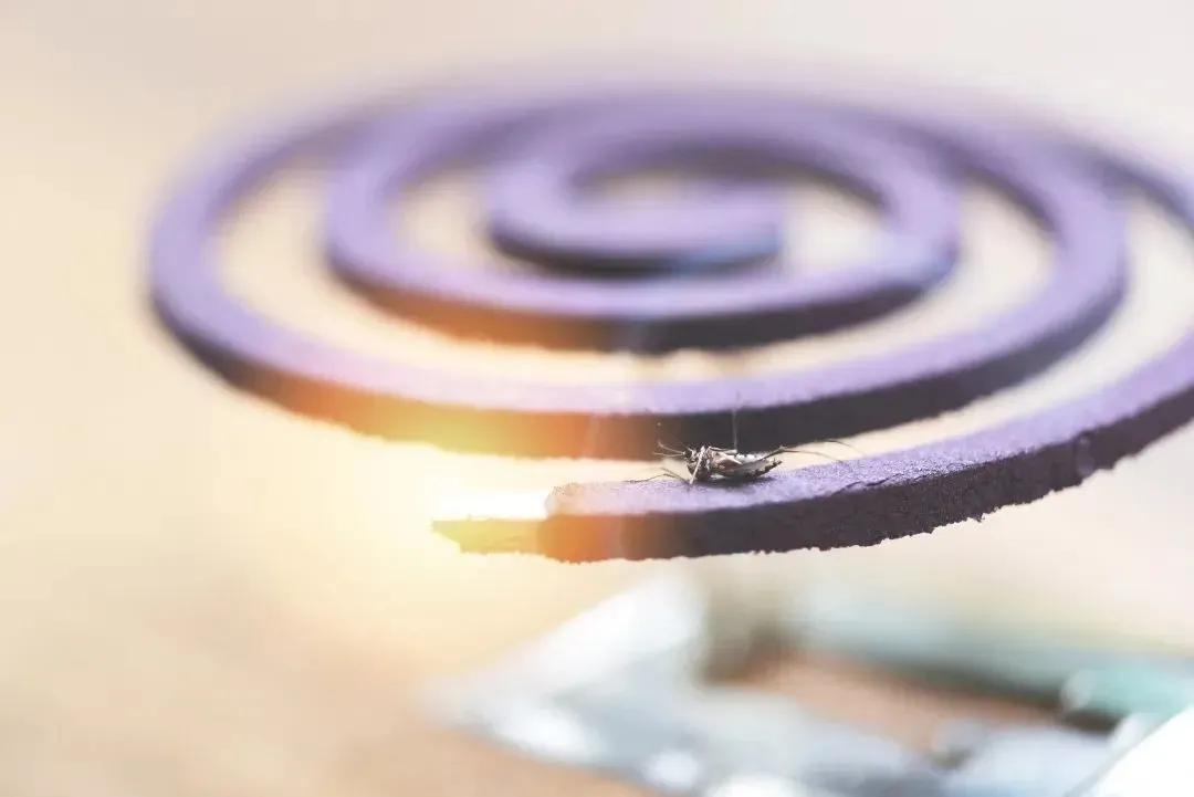 儿童蚊香危险,家里有孩子驱蚊点哪种蚊香