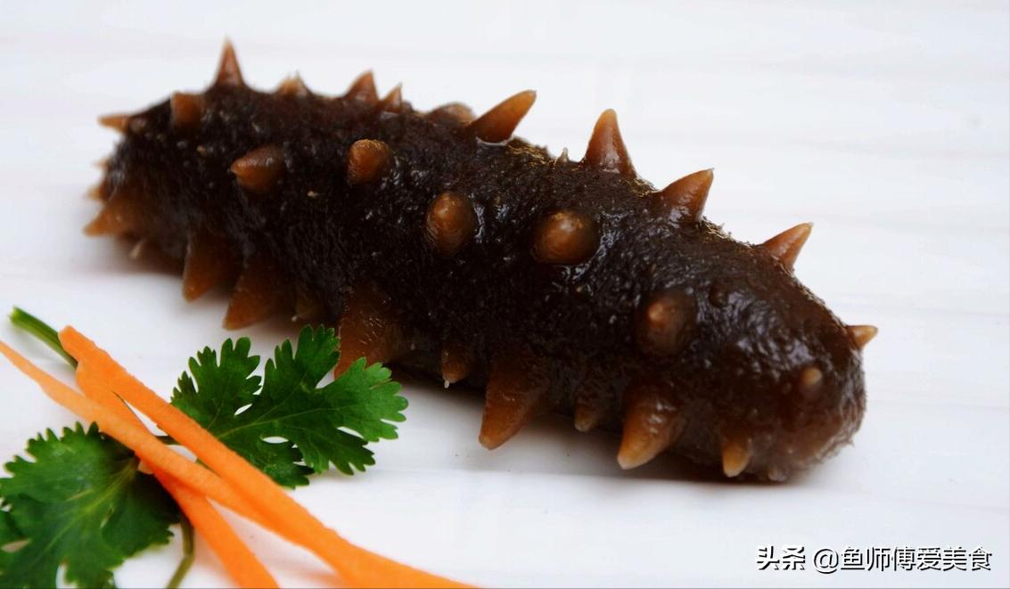 最滋补的海参吃法好吃又营养,早上吃海参的简单最佳吃法
