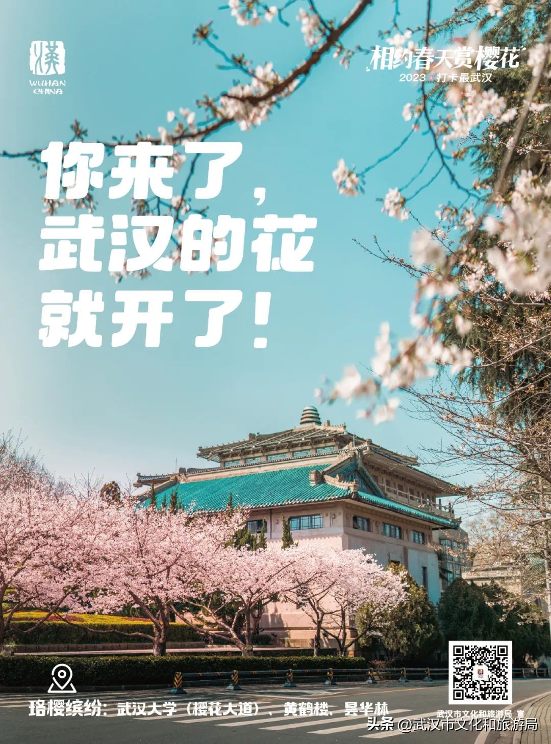 武大赏樱怎么样预约,武大开设医护免预约赏樱通道