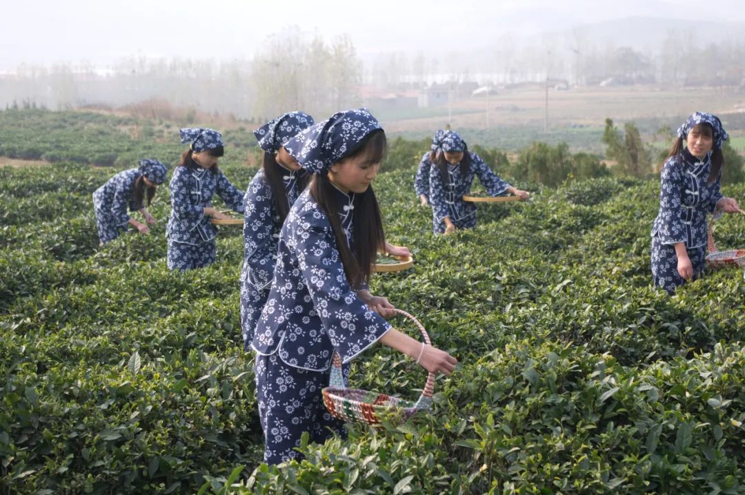 逛吃逛吃歌曲,逛吃逛吃大张伟