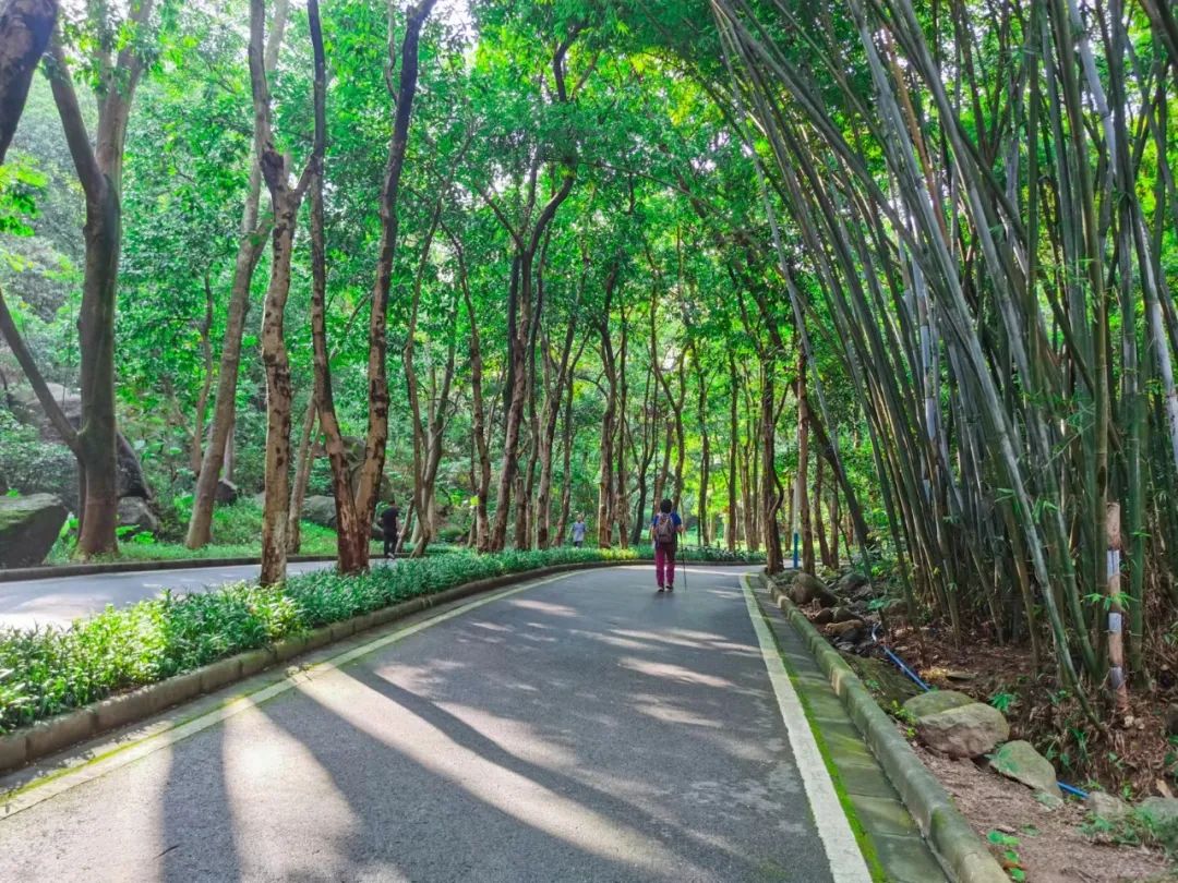 火炉山徒步登山路线图解,徒步中山铁炉山