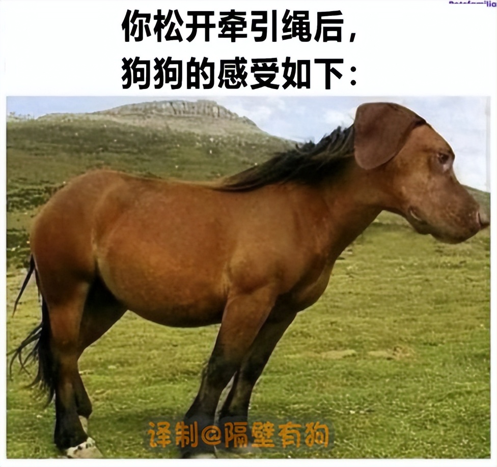 看完恐怖片不敢去最后一间厕所,看完恐怖片转移阵地