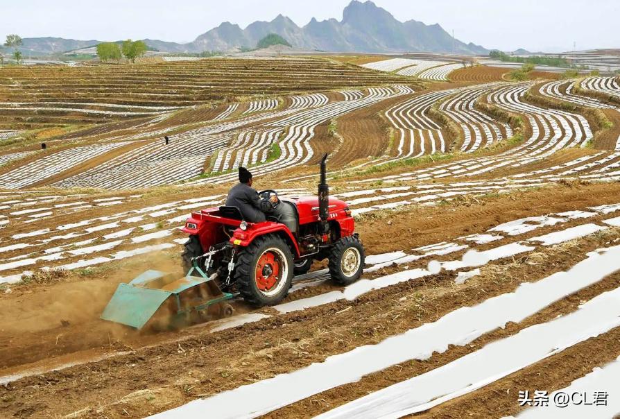 关于农村土地荒废问题,农村土地荒废现状报告