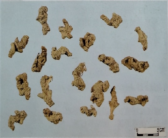 三七和金不换是一样的吗,金不换和三七是同一种中药吗