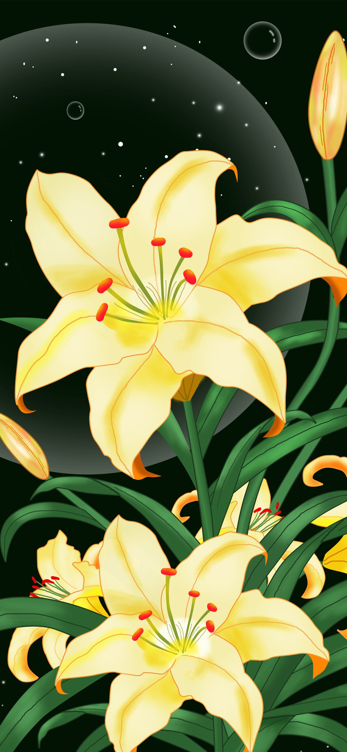 手机型号壁纸图片,169手机壁纸尺寸