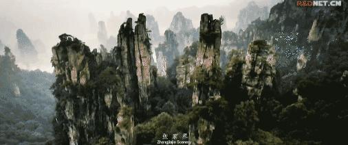 仙境张家界惊艳全世界,张家界的峰林峡谷仙境