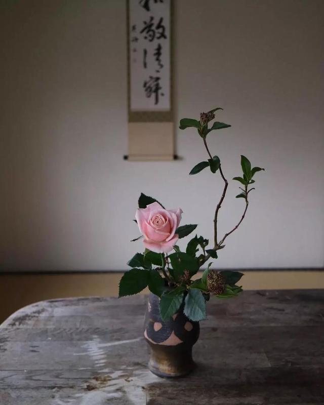 不会插花的句子,不会插花怎么办