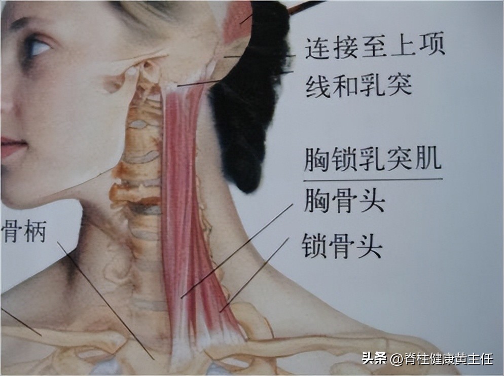 经常头痛颈椎痛是什么原因造成的,经常颈椎不好脖子疼痛是什么原因