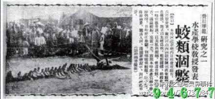 带你看世界奇闻异事,世界奇闻百态