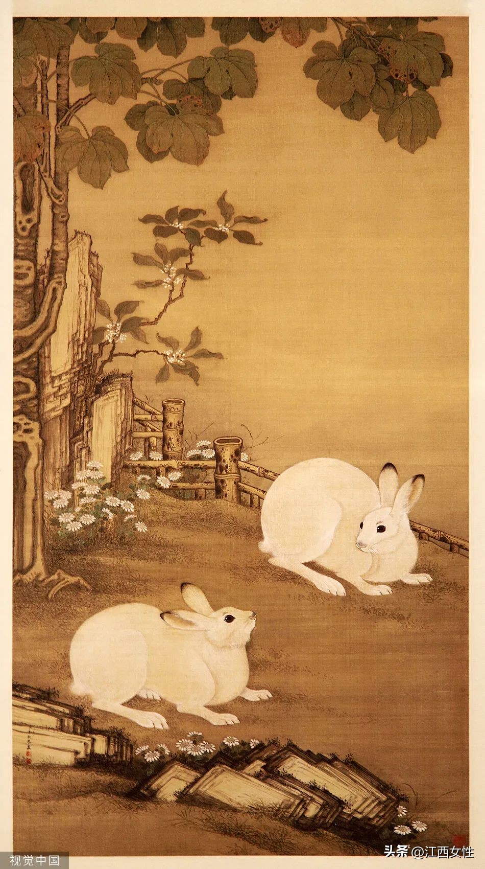 原来，你是这样的兔兔！