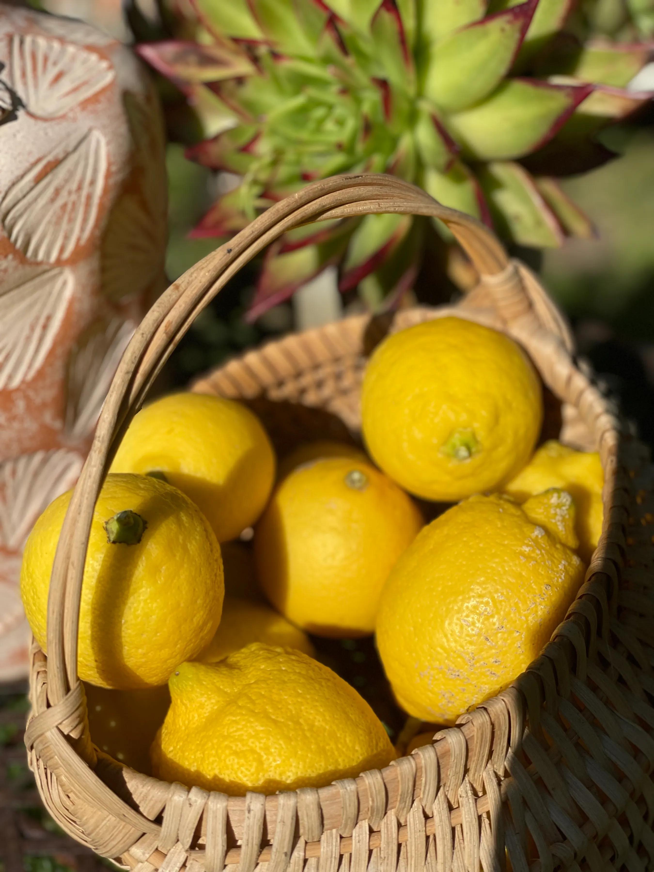 大乔和小乔的故事,大乔和小乔的故事王者荣耀