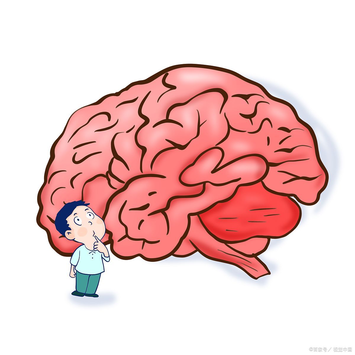 颈椎病脑供血不足中医怎么治,脑供血不足看中医还是西医好