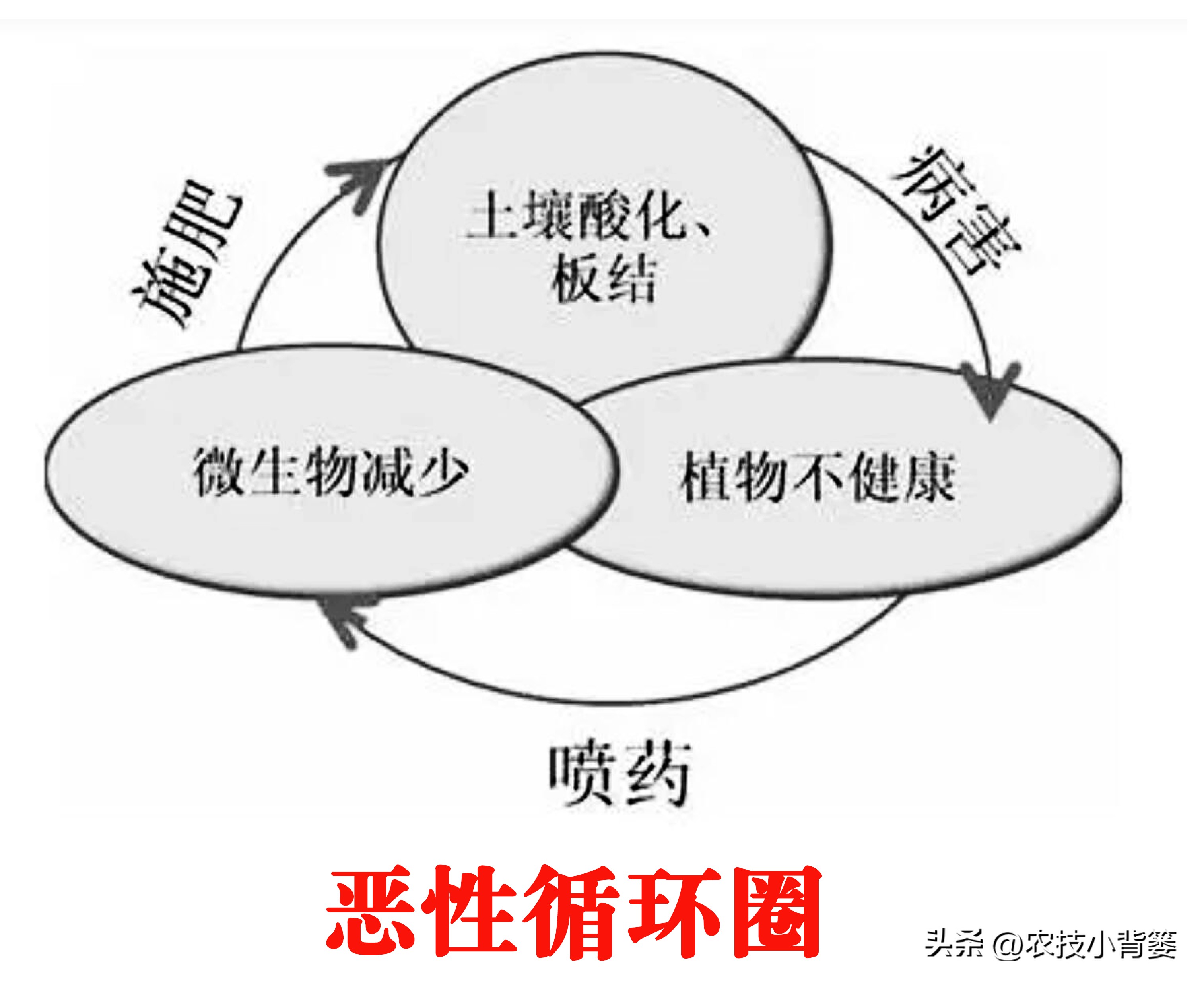 农作物除病害剂,农业害虫防治剂