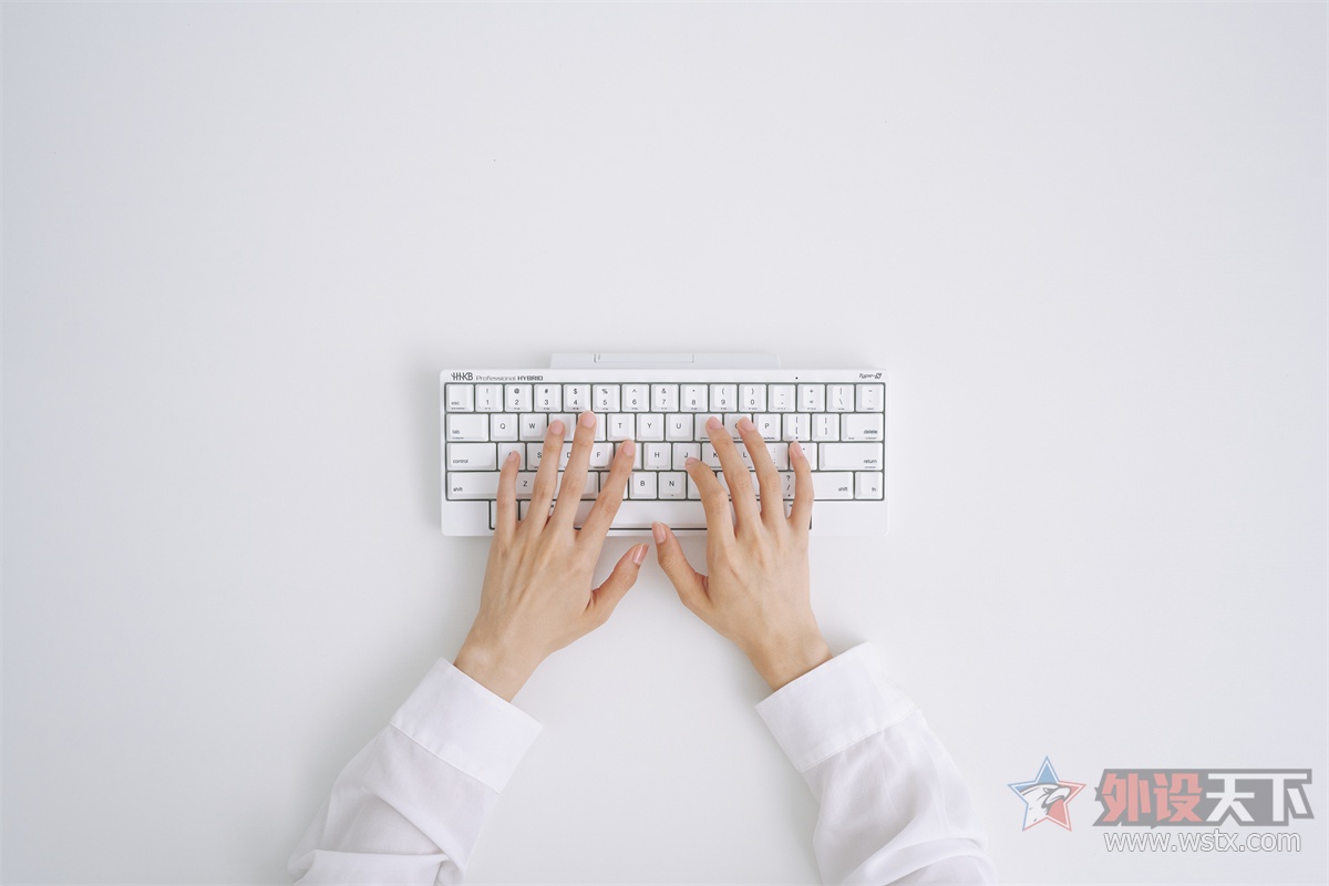 HHKBProfessionalHYBRIDType-SSnow正式发售