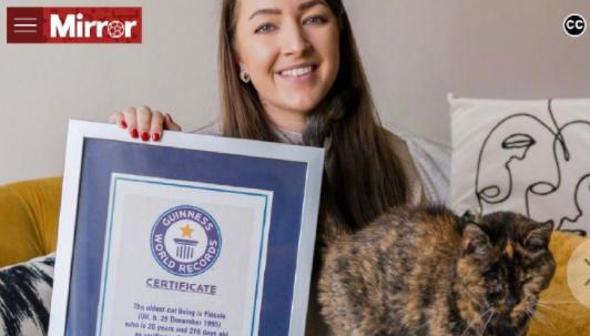 这些账号，全部关闭！【新闻早七点】