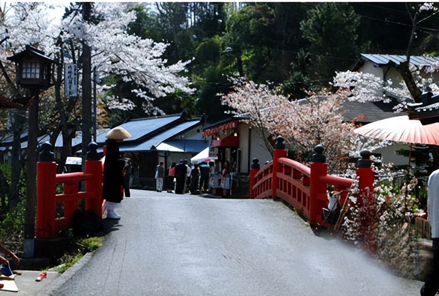 奈良街上的梅花鹿,奈良梅花鹿公园