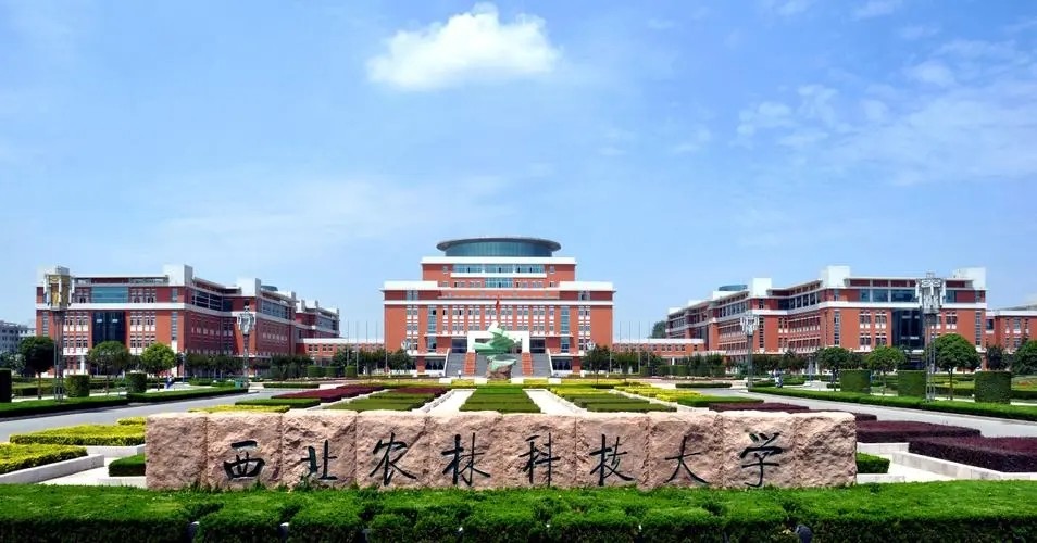 这十所农林类双一流大学谁更强,中国所有双一流的科技大学