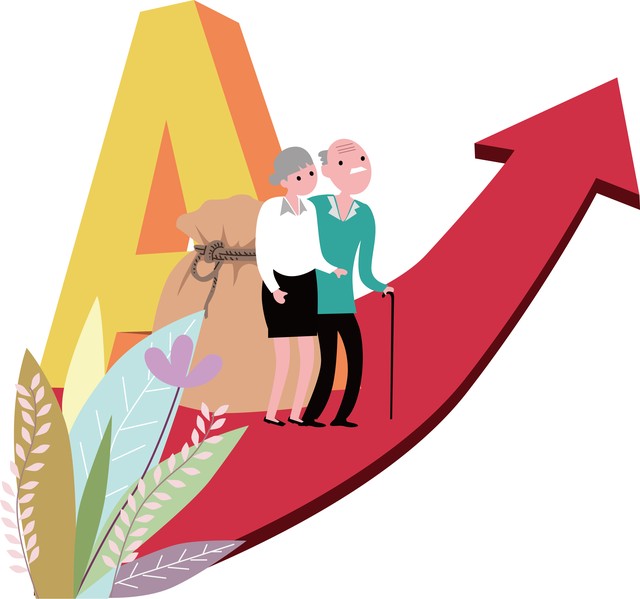 中国养老金制度设计,养老金制度设计方案