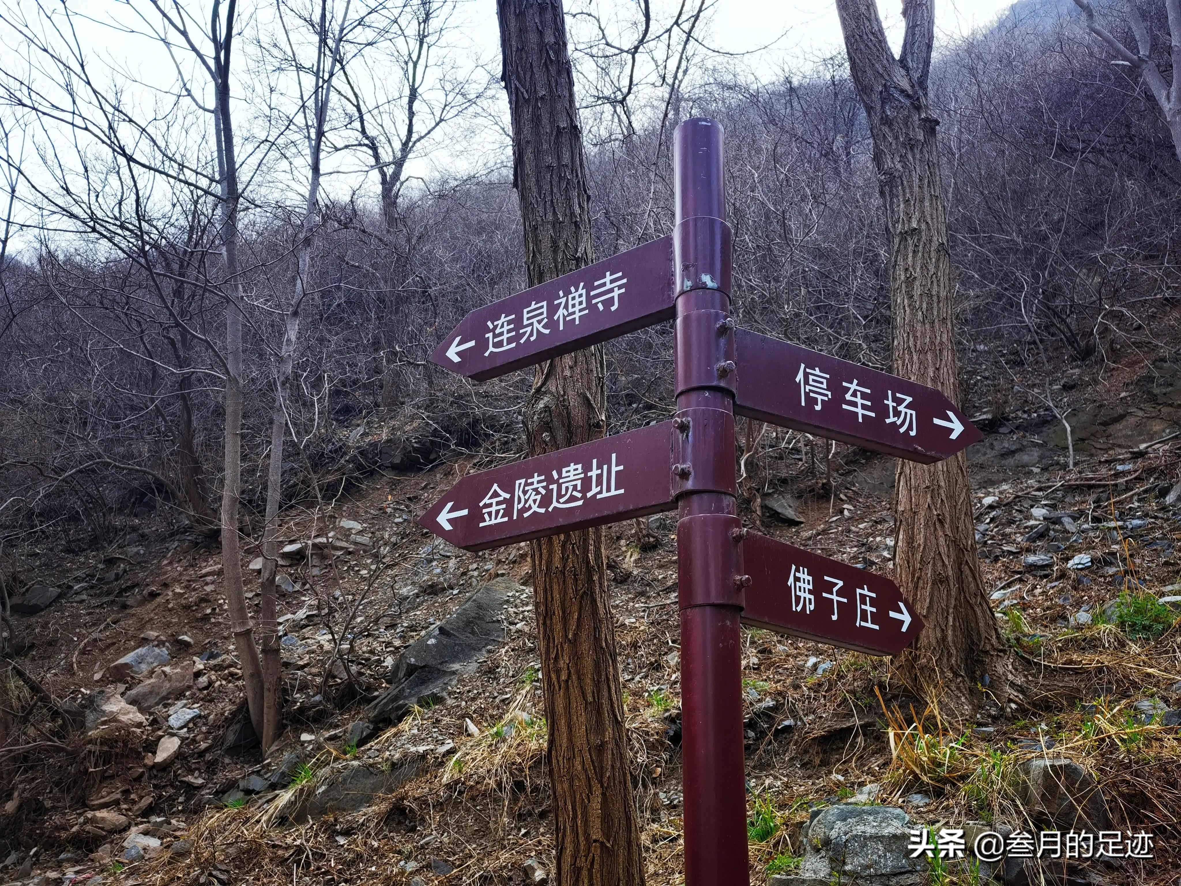 房山良乡踏春,最新房山踏春