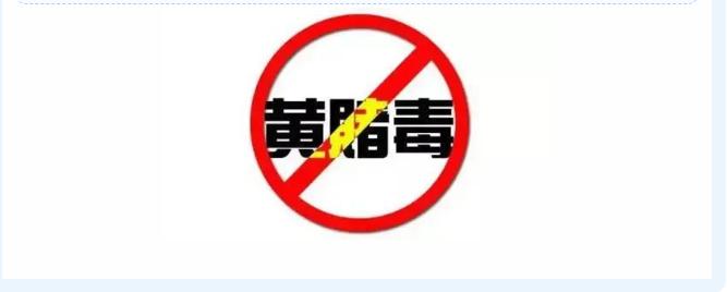 网警打电话说域名有漏洞,网警域名能查出什么