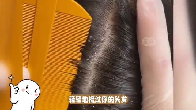 在头上好几年的虱子还能杀掉吗,头上的虱子为什么那么难去掉