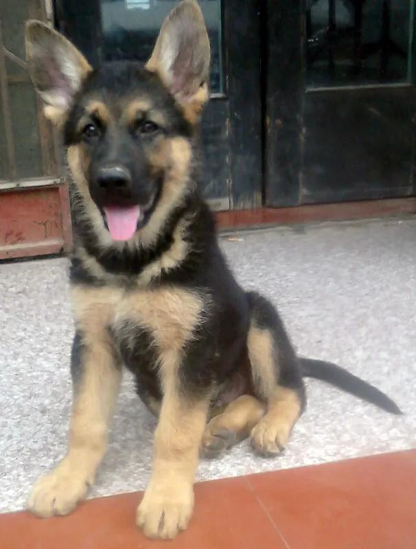 世上只有妈妈好爸爸也不错,世上只有妈妈好爸爸不好吗