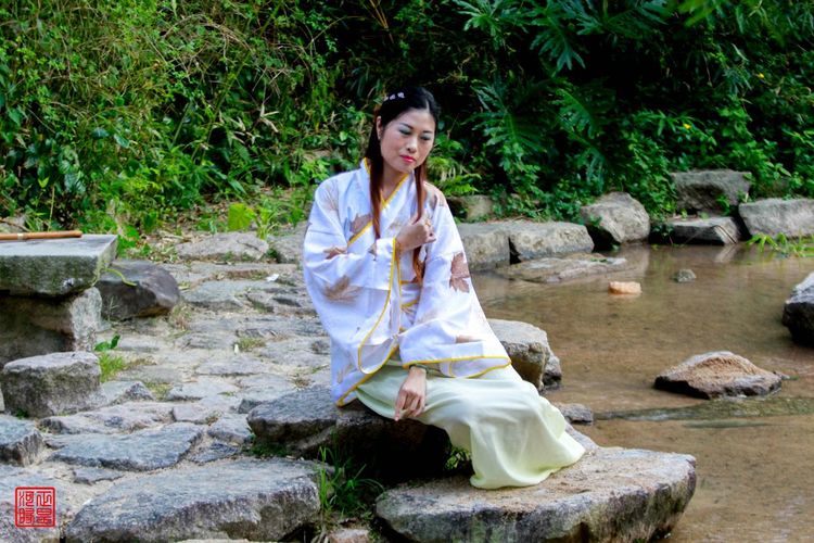 各领风骚全诗,各领风骚是哪首诗