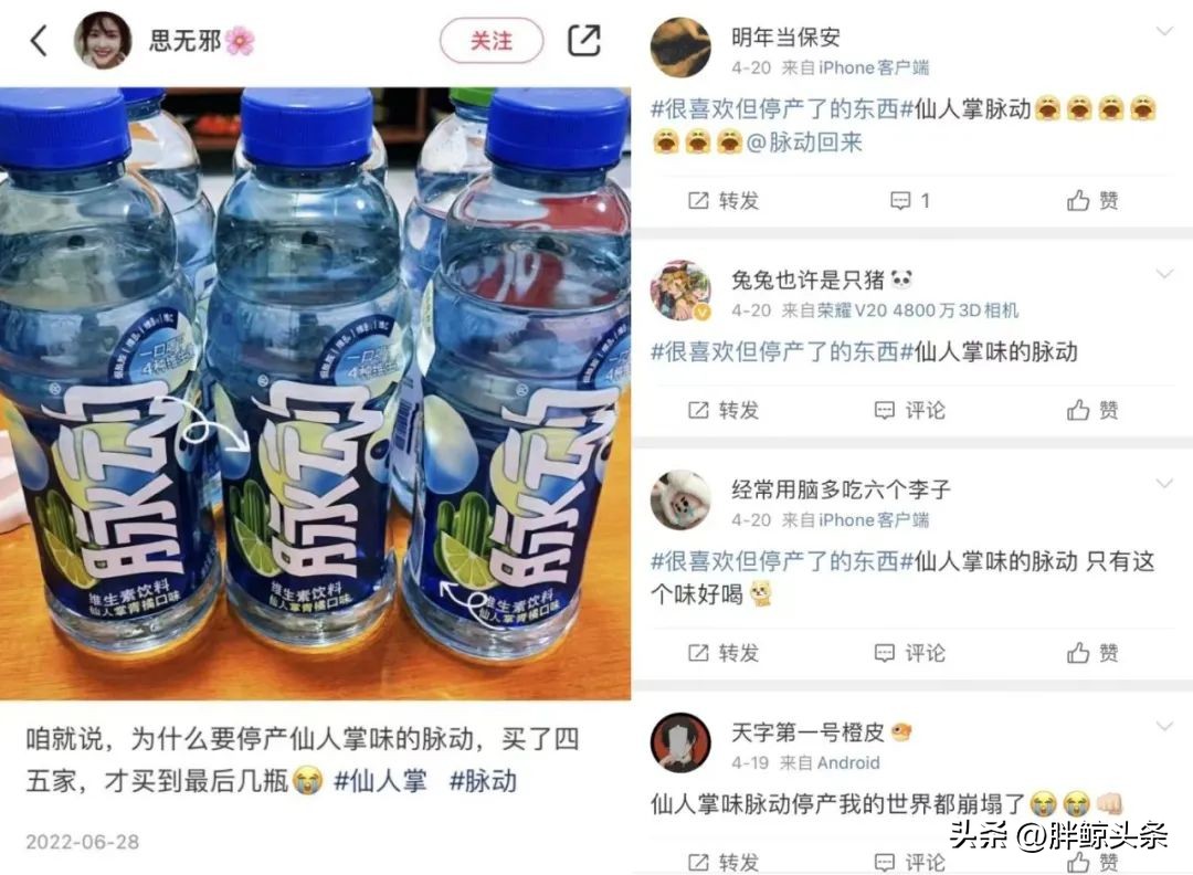 仙人掌味脉动讲解,仙人掌味的脉动原版