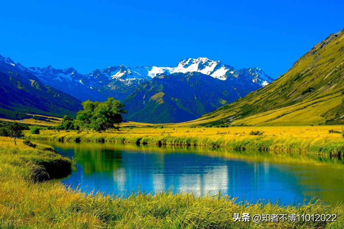 新西兰旅行27.聊聊新西兰的杂七杂八2【南岛旅游篇】【16022023】