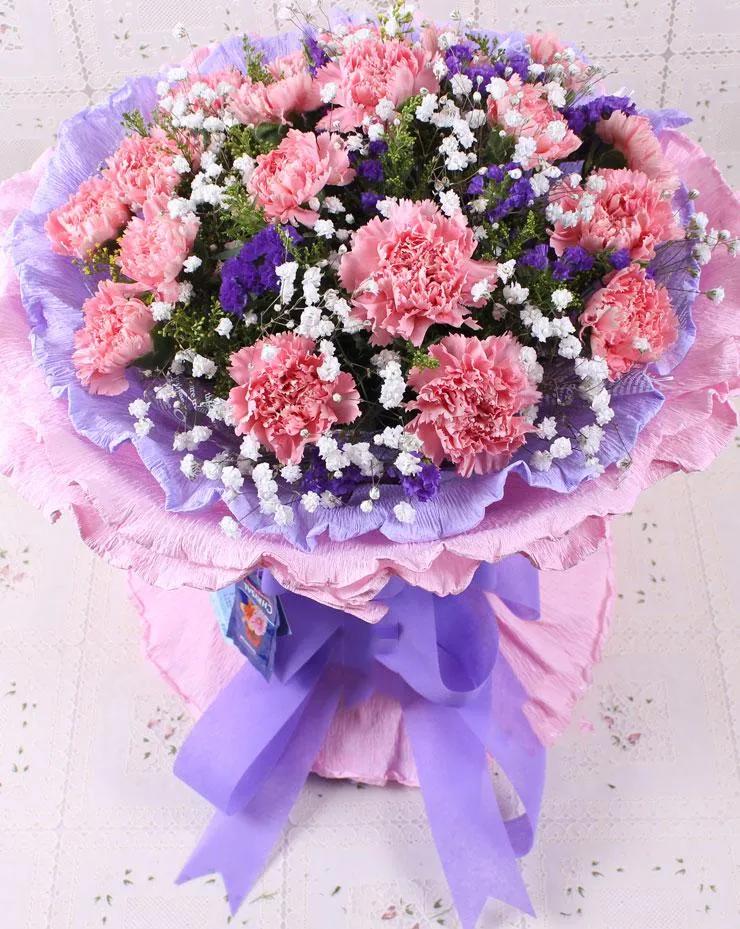 康乃馨花语朋友圈,康乃馨花语送女朋友