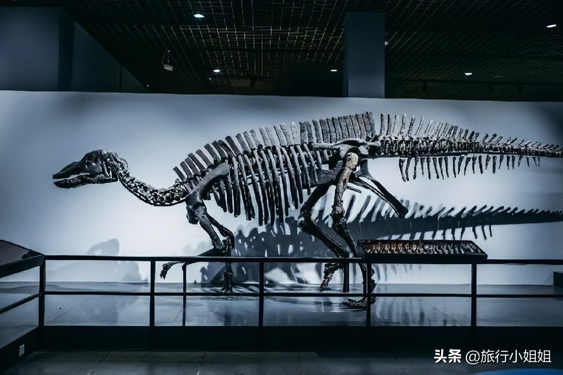 夏日海边微醺氛围感,滨城风光秀丽浪漫气息爆表