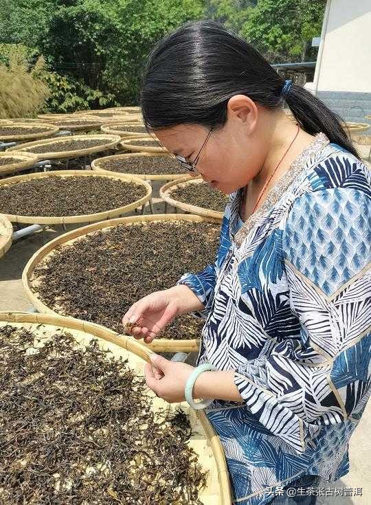 普洱茶好茶和普通普洱茶怎么区分,如何区分熟普洱和生普洱茶的区别