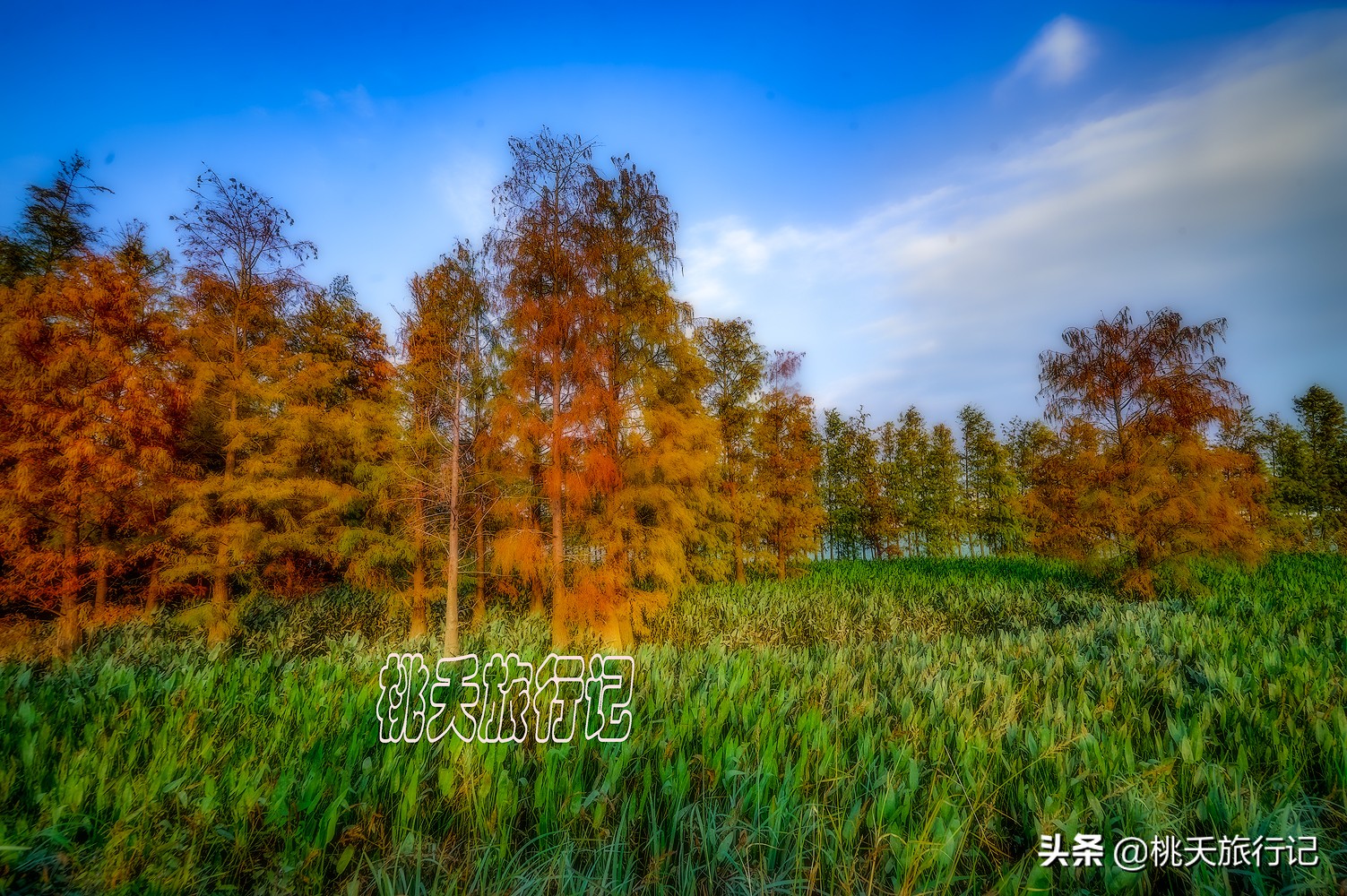 春节珠海旅游攻略三日游自由行,2019春节珠海游去哪比较好