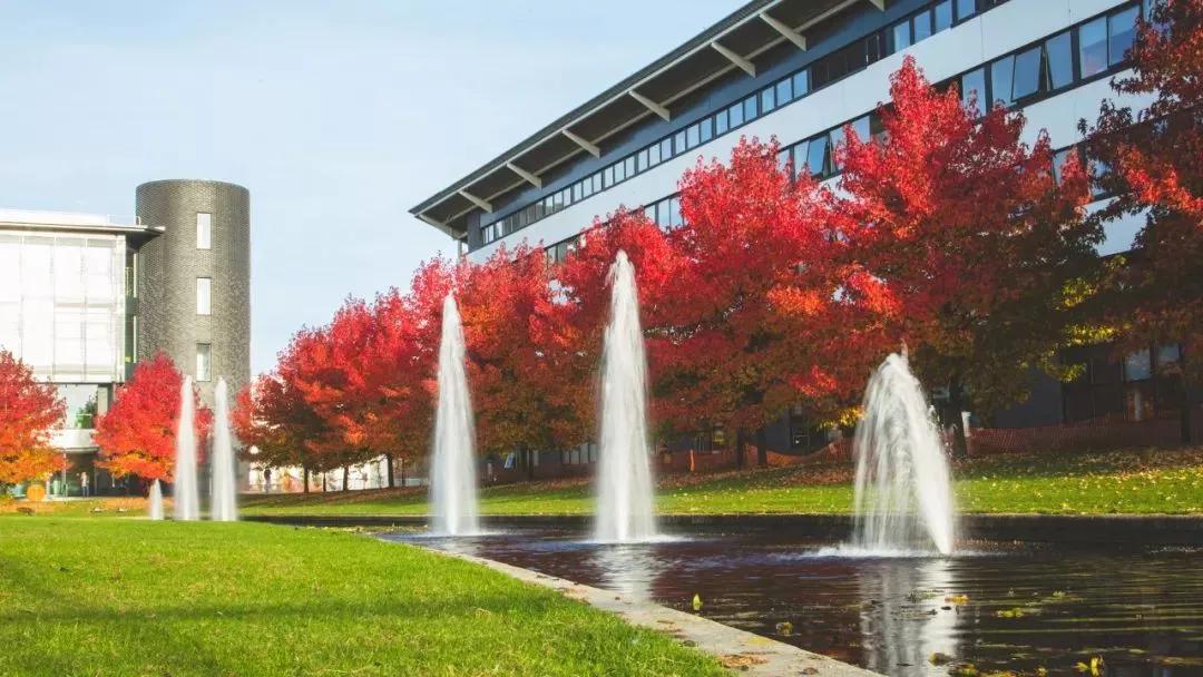 在华威大学本硕连读是一种什么体验?