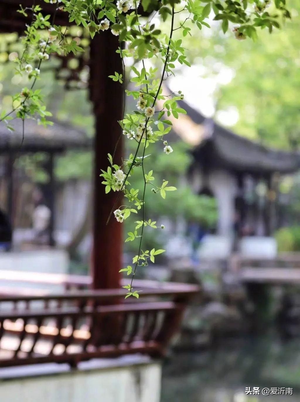 100句绝美春日诗词温柔又浪漫,微雨过小荷翻榴花开欲然