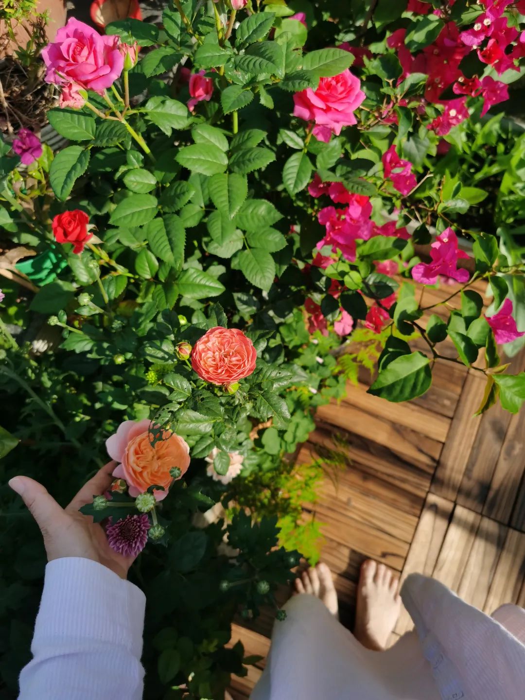 很多人羡慕的阳台,让别人羡慕的阳台