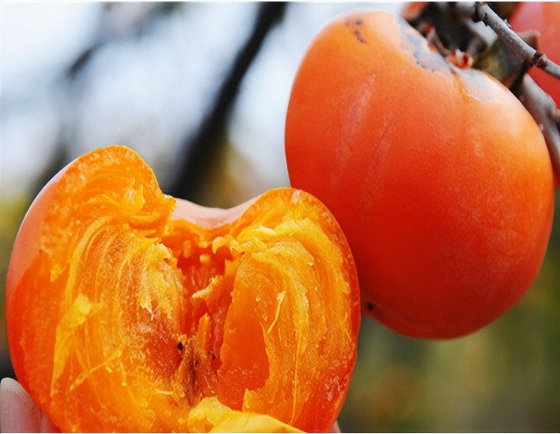 手脱皮开裂痒长癣专用乳膏,手脱皮手癣怎么回事